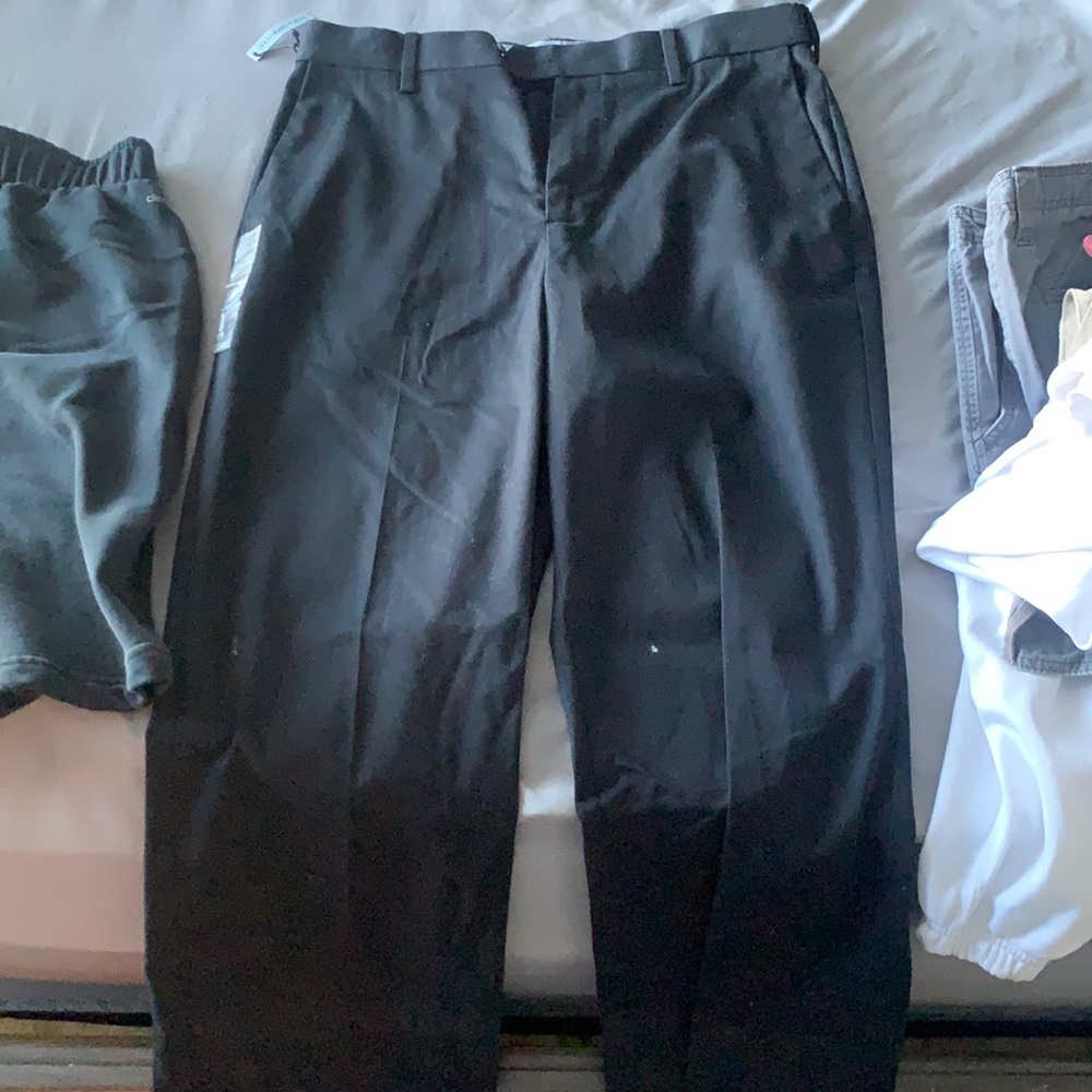 Dress pants